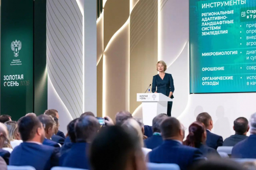 Владимиров предложил меры по борьбе с опустыниванием на выставке «Золотая осень»